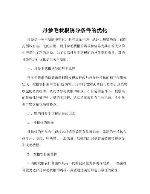 丹参毛状根诱导条件的优化