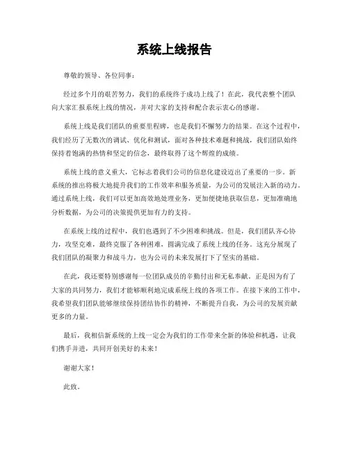 系统上线报告