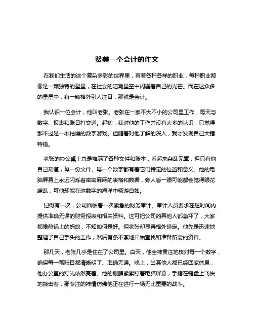 赞美一个会计的作文