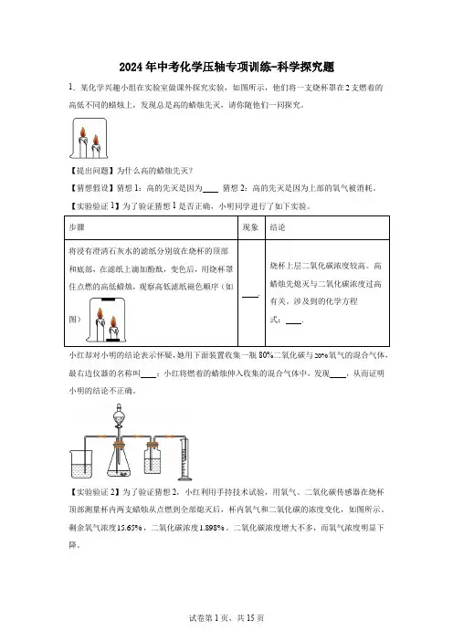 2024年中考化学压轴专项训练----科学探究题