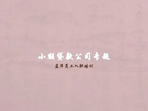 小额贷款公司专题PPT课件