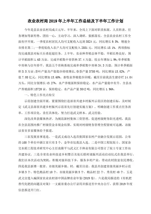 农业农村局2019年上半年工作总结及下半年工作计划