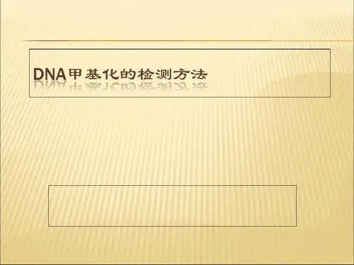 DNA甲基化检测