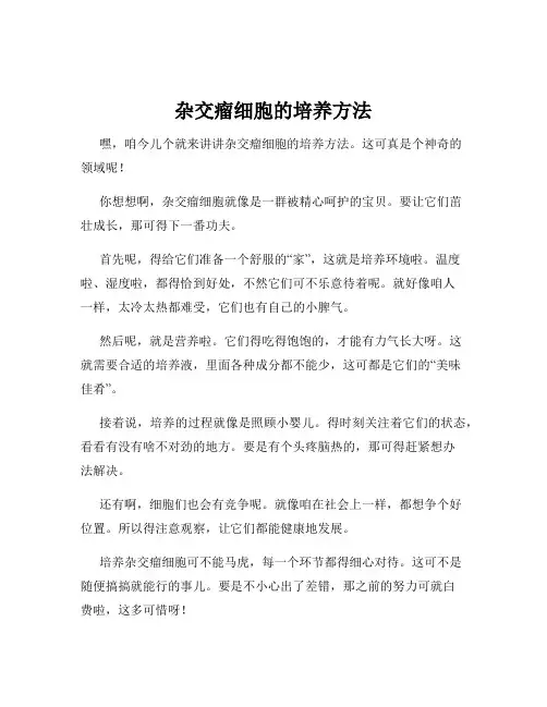 杂交瘤细胞的培养方法