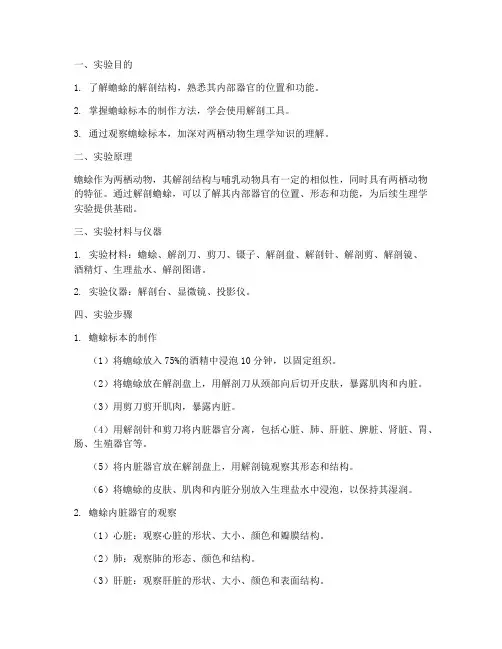 蟾蜍标本实验报告