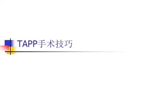 TAPP手术技巧