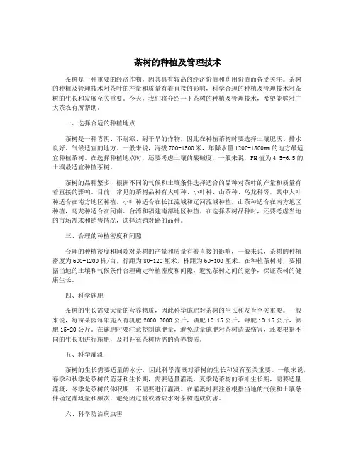 茶树的种植及管理技术