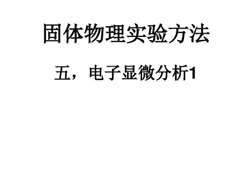 电镜分析