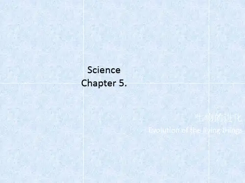 浙教版科学九年级下册第一章第五节遗传与进化课件