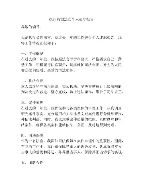 执行员额法官个人述职报告