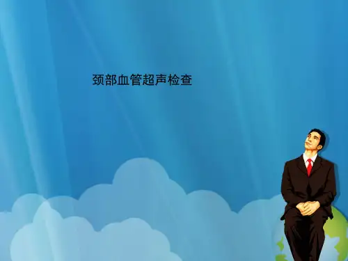 颈部血管超声检查