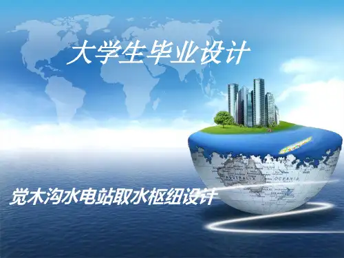 水利水电工程毕业设计