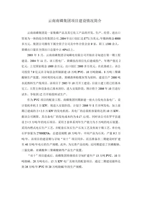 云南南磷集团项目建设情况简介