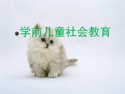 幼儿园学前儿童社会教育ppt课件
