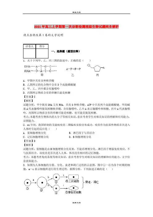 2021年高三上学期第一次诊断检测理综生物试题纯含解析