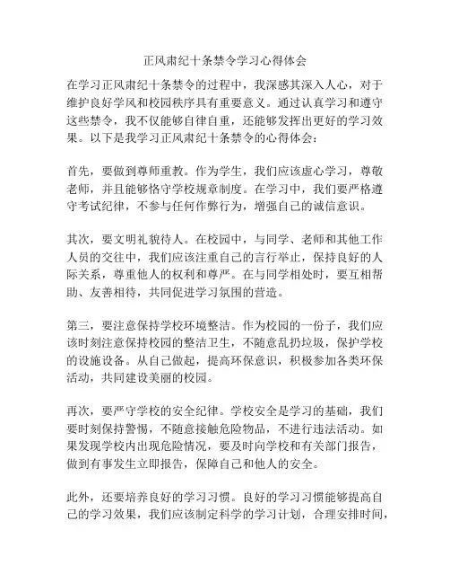 正风肃纪十条禁令学习心得体会