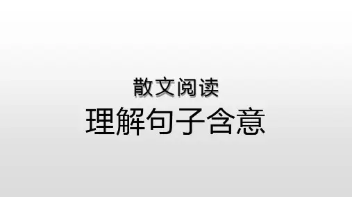 高考散文阅读理解句子含意