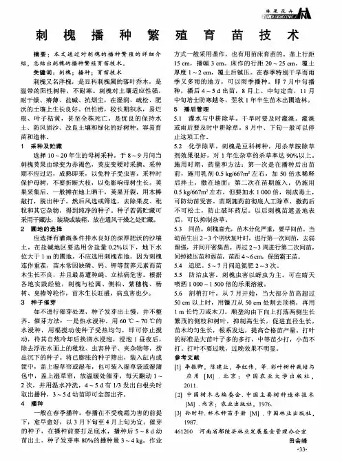 刺槐播种繁殖育苗技术