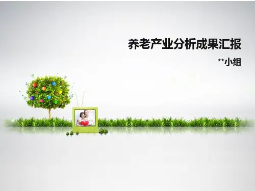 养老产业环境分析报告