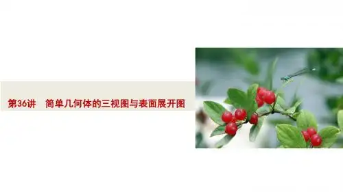 中考数学总复习36 简单几何体的三视图与表面展开图 (共36张PPT)