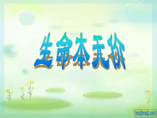 生命本无价