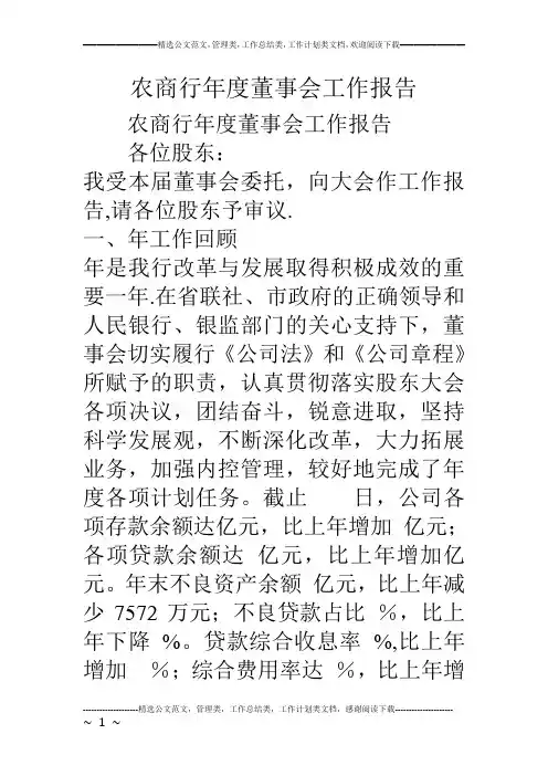 农商行年度董事会工作报告