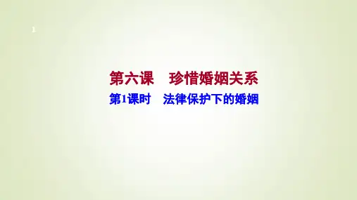 6-1法律保护下的婚姻(课件)-高中政治统编版选择性必修二法律与生活