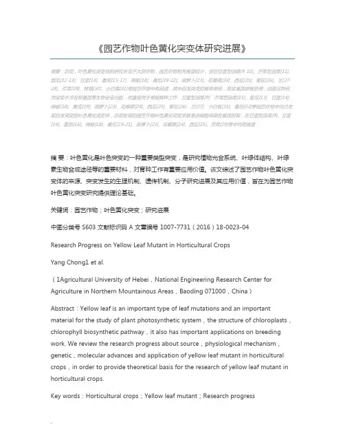 园艺作物叶色黄化突变体研究进展