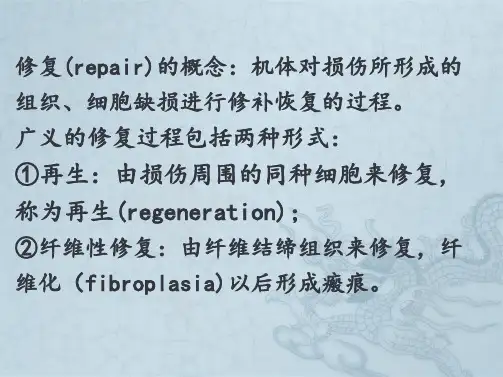 病理学损伤的修复