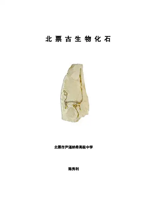 北票古生物化石