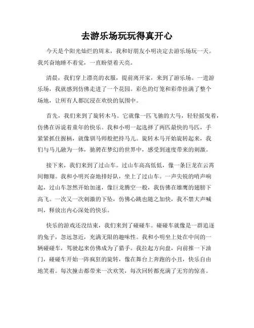 三年级作文那次玩得真高兴之去游乐场玩玩得真开心