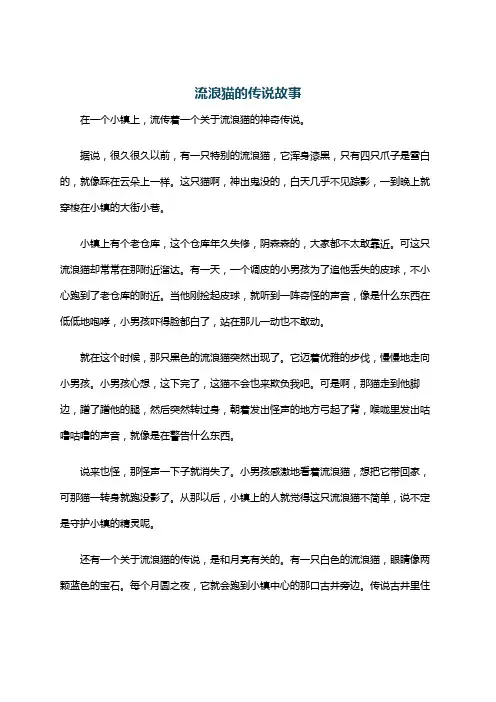 流浪猫的传说故事