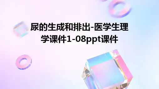 尿的生成和排出-医学生理学课件1-08PPT课件