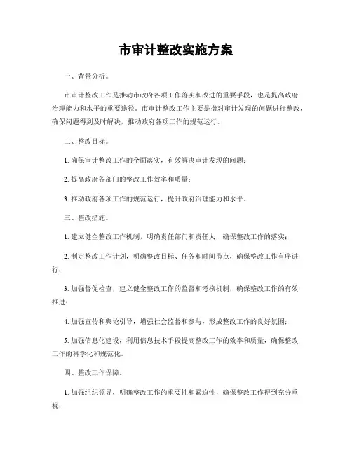 市审计整改实施方案