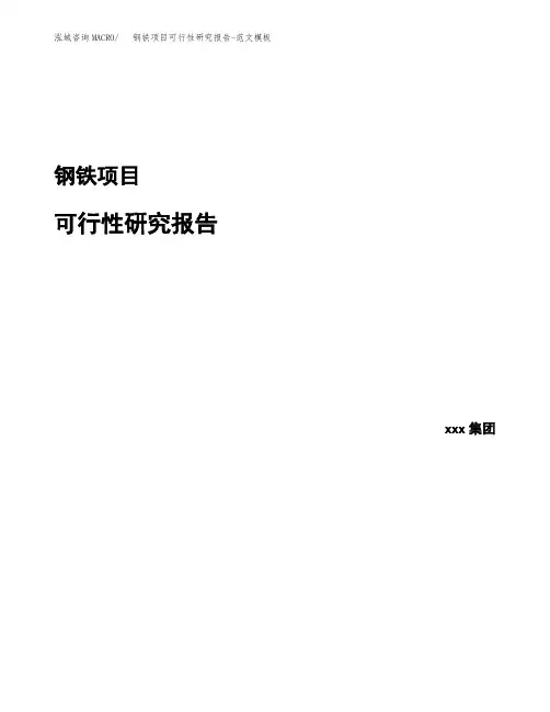 钢铁项目可行性研究报告-范文模板 (3)