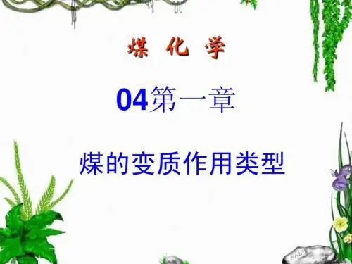 04第一章 煤的变质作用类型