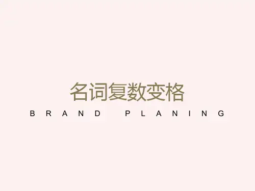 俄语名词复数变格