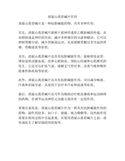 消旋山莨菪碱片作用