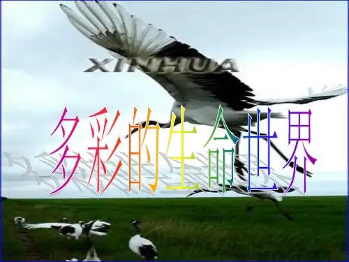 七年级政治上册 第1课 第一框 多彩的生命世界课件 鲁
