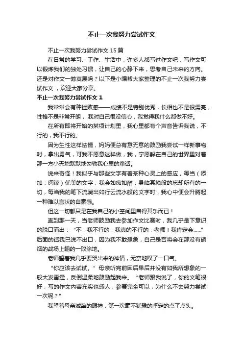 不止一次我努力尝试作文15篇