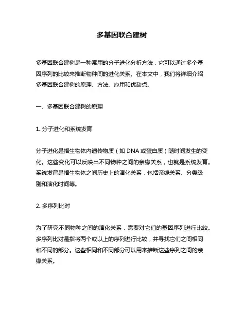多基因联合建树