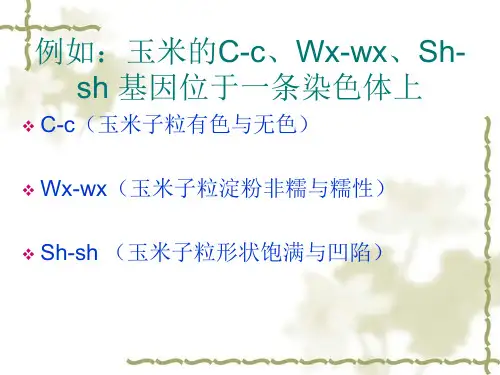 基因定位与连锁遗传图