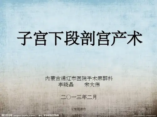 子宫下段剖腹产术-ppt课件