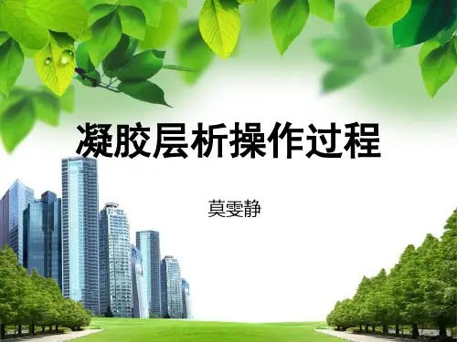 凝胶层析操作过程(莫雯静)