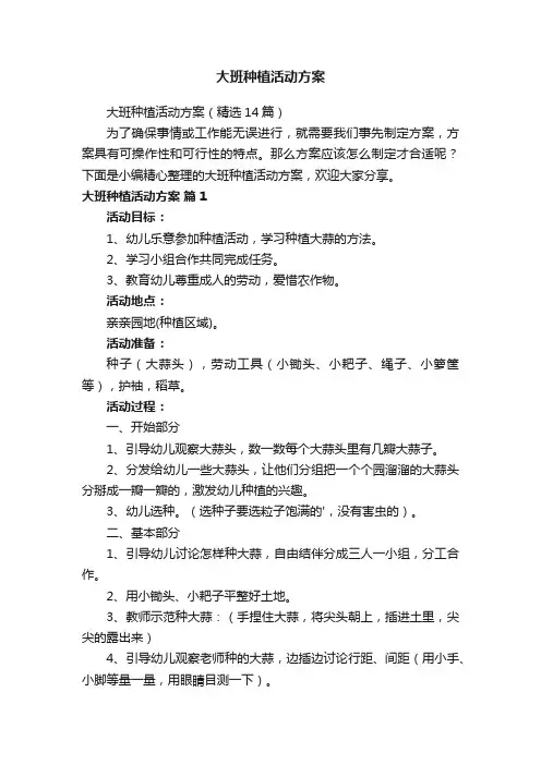 大班种植活动方案
