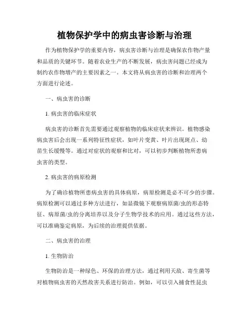植物保护学中的病虫害诊断与治理