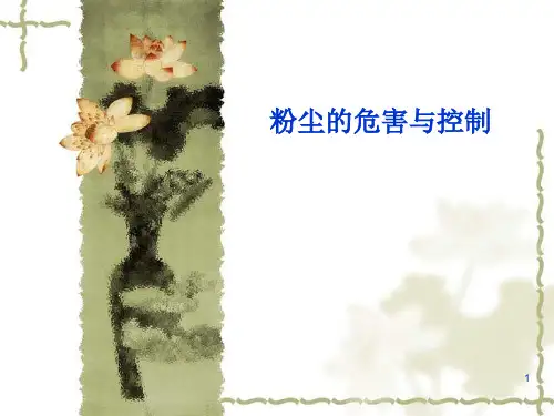 粉尘的危害与控制ppt课件
