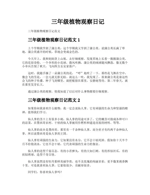 三年级植物观察日记