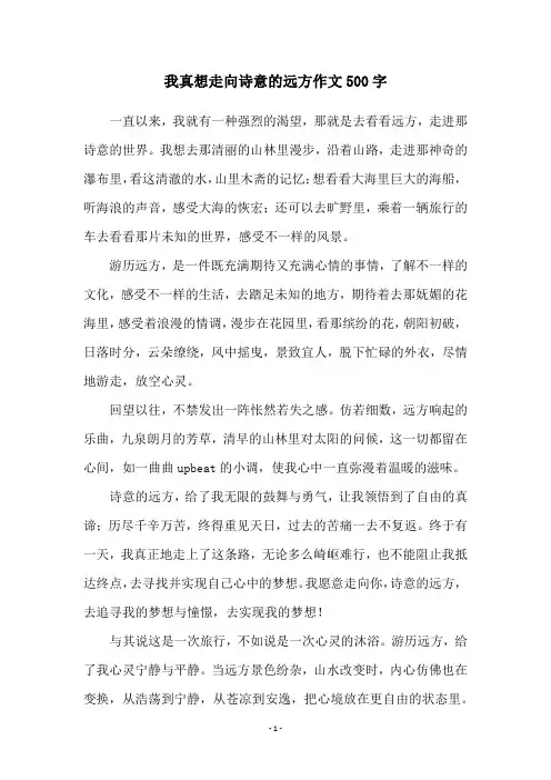 我真想走向诗意的远方作文500字