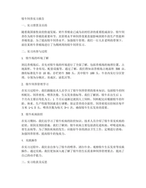 犊牛的饲养实习报告